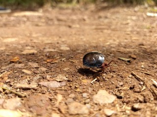 Ant - Mirante Alto do Céu