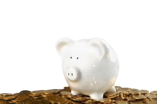 Piggy bank surrounded by coins - isolated image