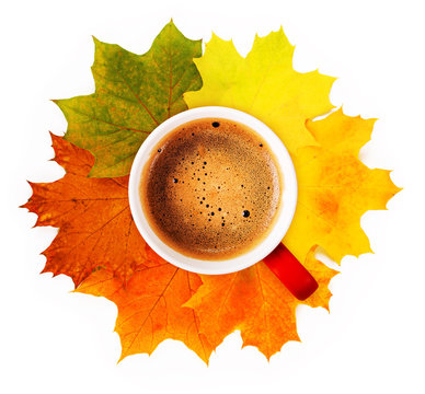 A cup of fragrant coffee on fallen autumn leaves. Autumn leaves and a cup of coffee.