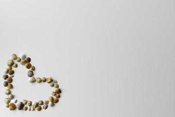 Love symbol - heart created from summer seashells with copy space on white background.