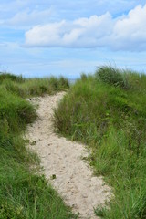 Fototapeta na wymiar Sand footpath to the beach