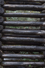 Wet stacked logs supporting a mill sluice, Appalachian scene, vertical aspect