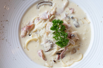 carbonara spaghetti on a plate