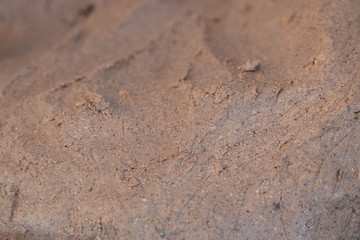 background of  shrimp paste