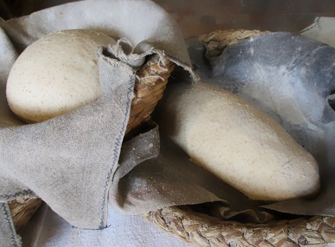 P&acirc;tons  dans leur paneton rustique
