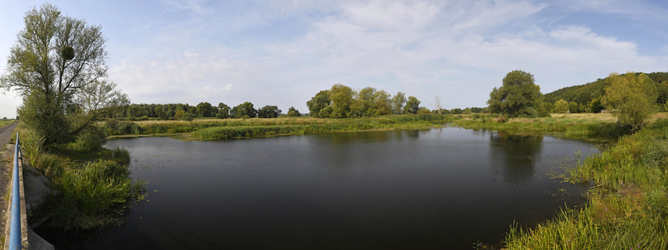 Altarm der Oder im Natura 2000 Gebiet "Dolna Odra" / Nationalpark Unteres Odertal / Polen 
