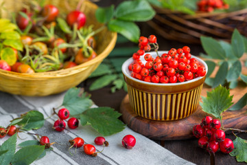 Still life with autumn ripe berries