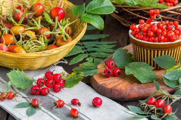 Still life with autumn ripe berries