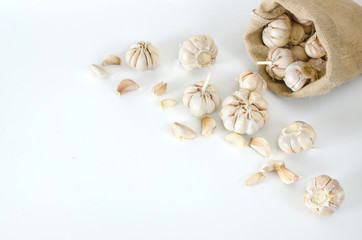 Fototapeta na wymiar multi bulb garlic in sack on white background