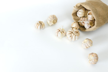 multi bulb garlic in sack on white background