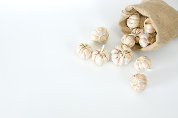 Fototapeta na wymiar multi bulb garlic in sack on white background