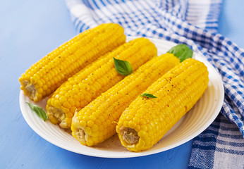 Boiled corn in white plate on blue background. Summer food.