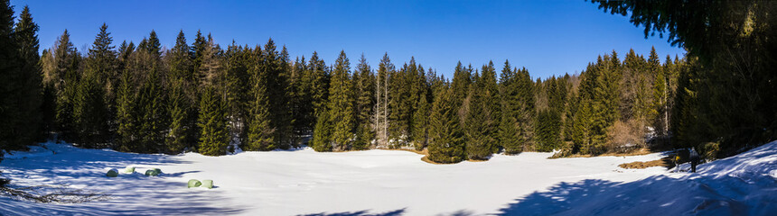 Panoramic view of snowy mountain with fir trees, Italy