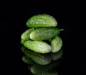 Fresh green cucumber