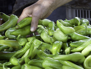 A hand is holdning green peppers at grocery store