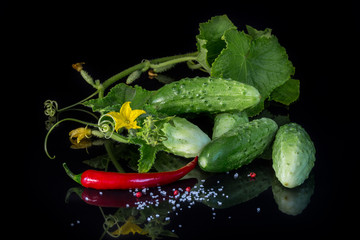 Fresh cucumbers, green and red chili
