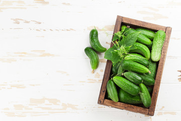 Fresh garden cucumbers