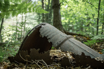 Rusty barrel in the woods