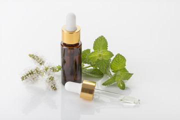 Mint essential oil aromatherapy spa