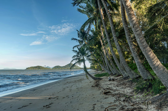 Palm Cove Beach In Cairns Queensland, Australia