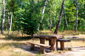Naklejka premium Picnic site in birch grove. Wooden table and benches in birch forest