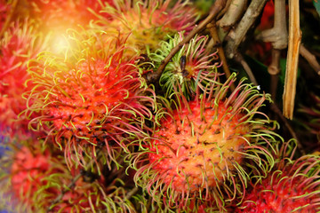 Fresh rambutan in the fruit market of Thailand.
