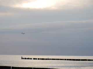 Ostsee mit Buhnen und Schwänen