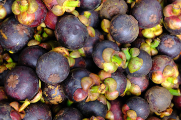 The purple mangosteen fresh fruit market in Thailand.