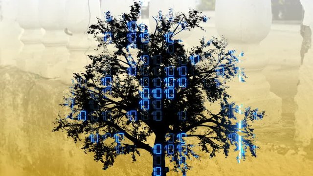 Binary Tree Images Browse 4 165 Stock Photos Vectors And Video Binary Tree Images Browse 4 165 Stock Photos Vectors And Video