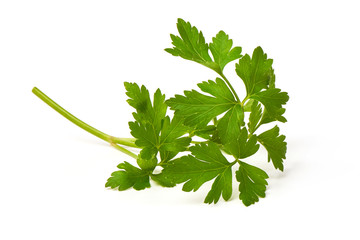 Parsley, fresh leaf, isolated on white background.