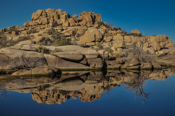 Fototapeta na wymiar Reflections of tumbled boulders and dead trees at Joshua Tree National Park 