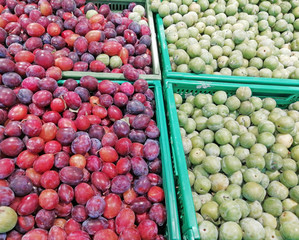 Prunes et reine claude