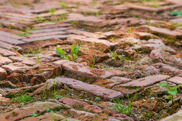 Old red brick pavement