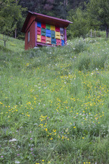 Fototapeta na wymiar Colorful beehive in a meadow full of flowers
