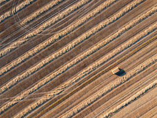 Top view from flying drones to an agricultural field after harvesting wheat with a straw stack on it at summer day.