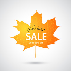 Autumn sale banner