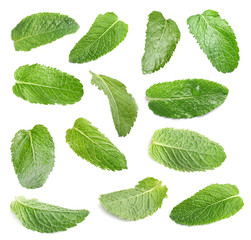 Set with fresh green mint leaves on white background