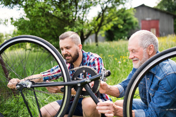 An adult hipster son and senior father repairing bicycle outside on a sunny day.