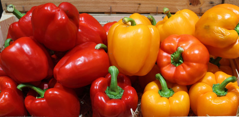 poivron bicolore rouge /jaune