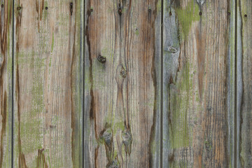 old brown and green planks background