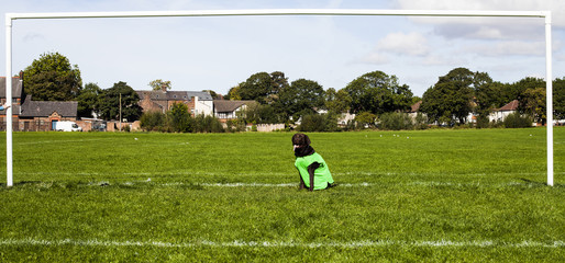 Zeppelin in Goal © Paul