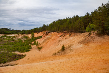 Restoration of a part of the mined glass sand quarry, planting a young pine forest. Dunes of sand quarry,