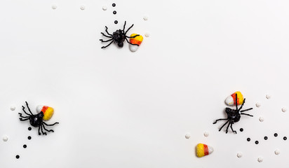 Halloween spiders overhead view on a solid color
