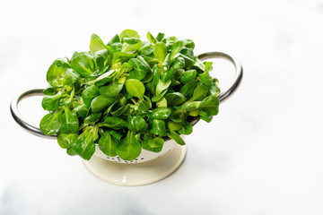 Corn salad (lamb's lettuce, Valerianella locusta)  in a Colander