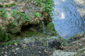 Valley Of The Butterflies. A beautiful nature reserve on the island of Rhodes, Greece, nature background