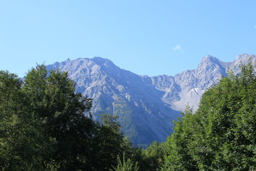 Fototapeta na wymiar Berg mit Wald