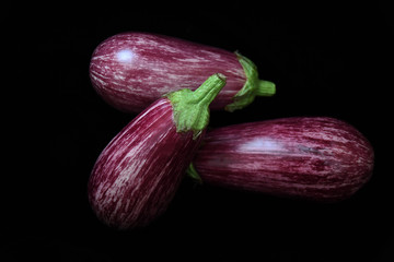 Fresh Purple eggplant 