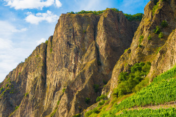 Rotenfels, Berg bei Bad Münster am Stein-Ebernburg, Felsbiotop, Naturschutzgebiet, Rheinland-Pfalz, Deutschland