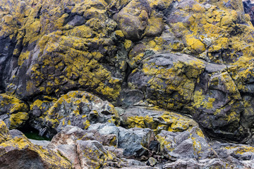 boulders in a rocky landscape. Background of stones.