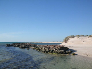 Fototapeta na wymiar Ningaloo Reef